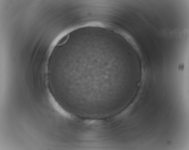 X0000114640808200910201441