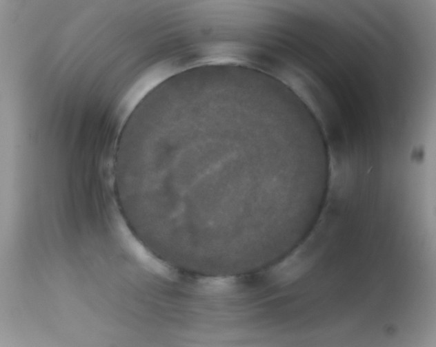 X0000114640810200910201441