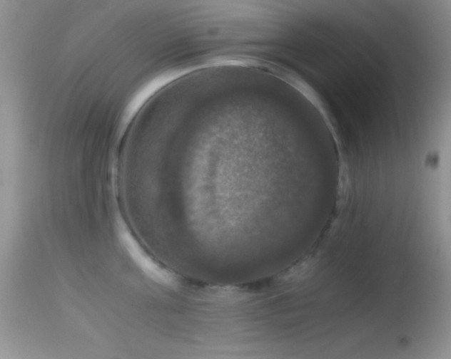X0000114640811200910201441