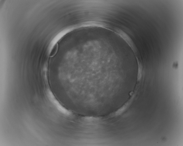 X0000114640812200910201441