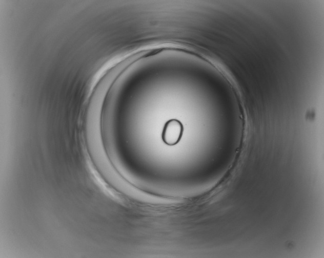 X0000114640813200910201441