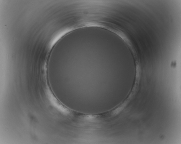 X0000114640814200910201441