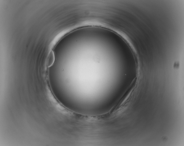 X0000114640815200910201441