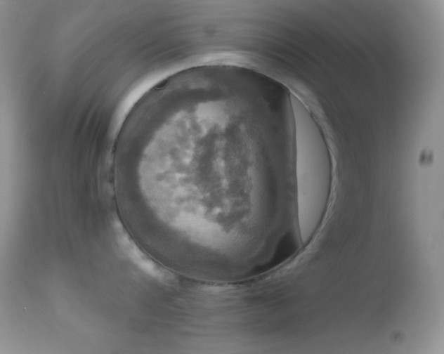 X0000114640816200910201441