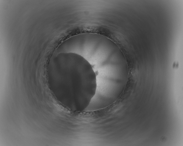X0000114640817200910201440