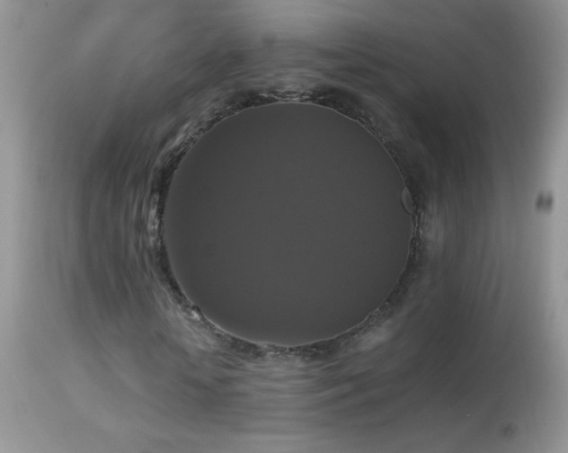 X0000114640818200910201440