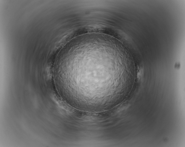 X0000114640819200910201441
