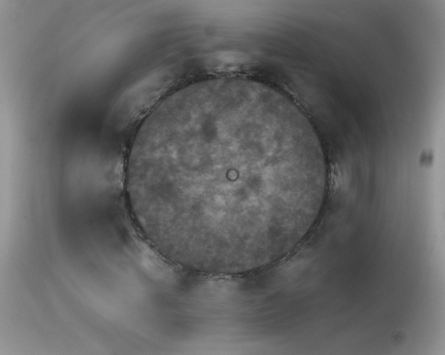 X0000114640820200910201441