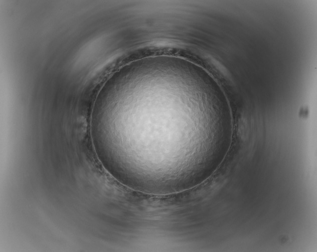 X0000114640821200910201441