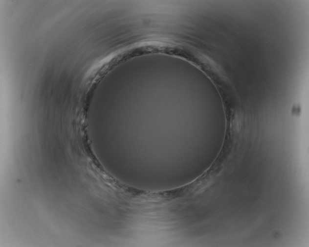 X0000114640822200910201441