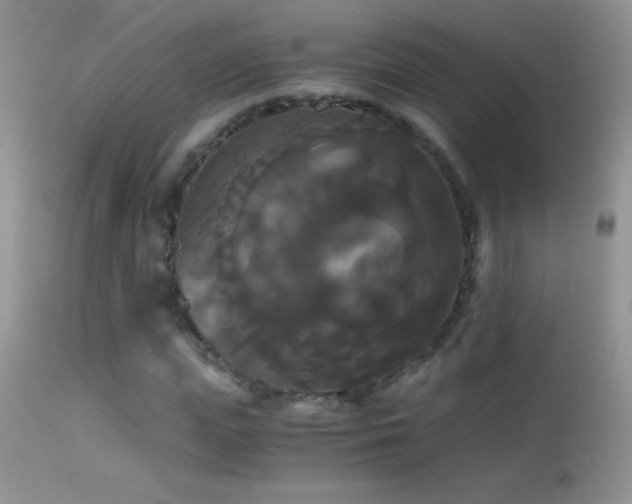 X0000114640823200910201441
