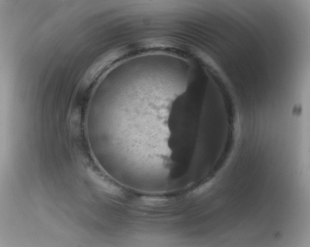 X0000114640825200910201441