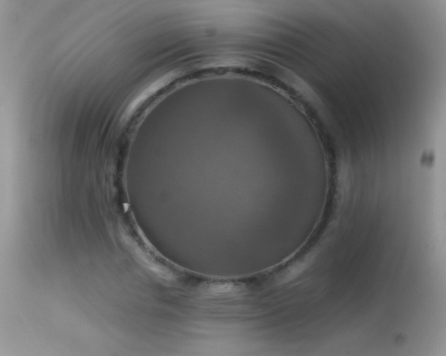 X0000114640826200910201441