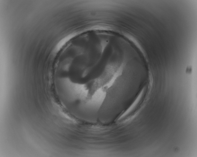 X0000114640829200910201441