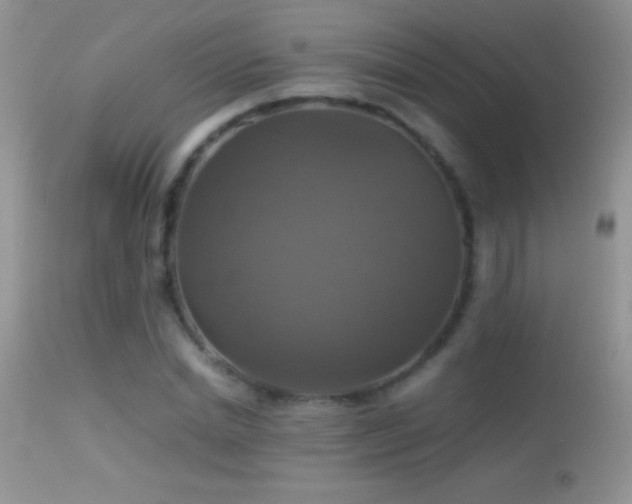 X0000114640830200910201441