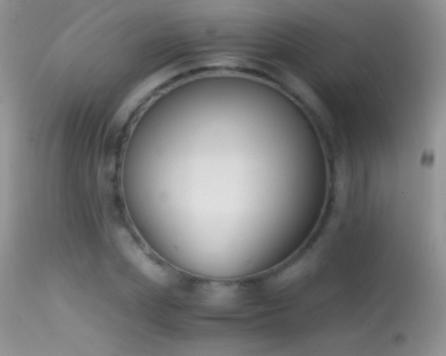 X0000114640831200910201441