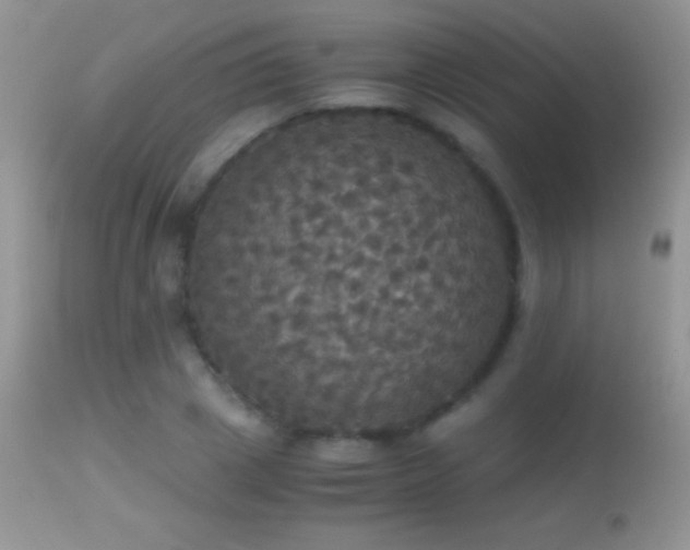 X0000114640833200910201441