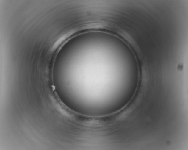 X0000114640834200910201441