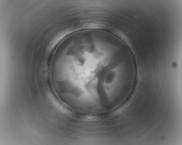 X0000114640835200910201441