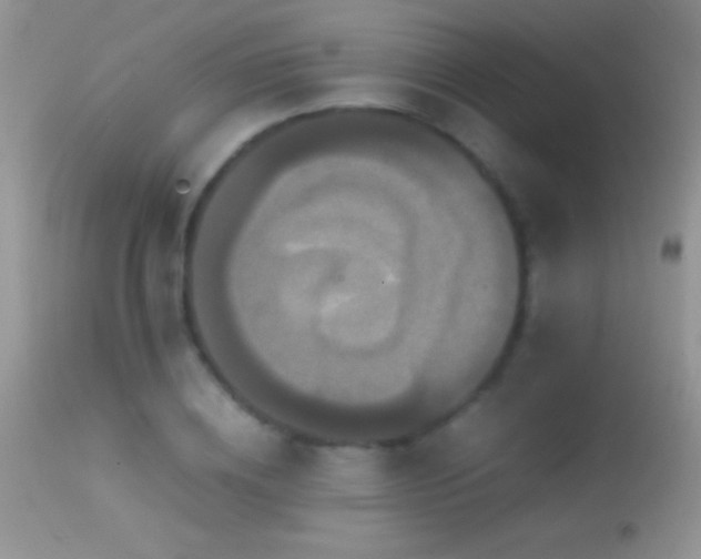 X0000114640836200910201441