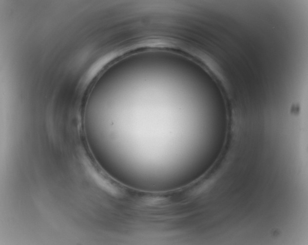 X0000114640837200910201441