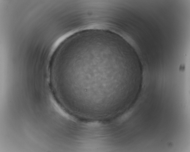 X0000114640838200910201441