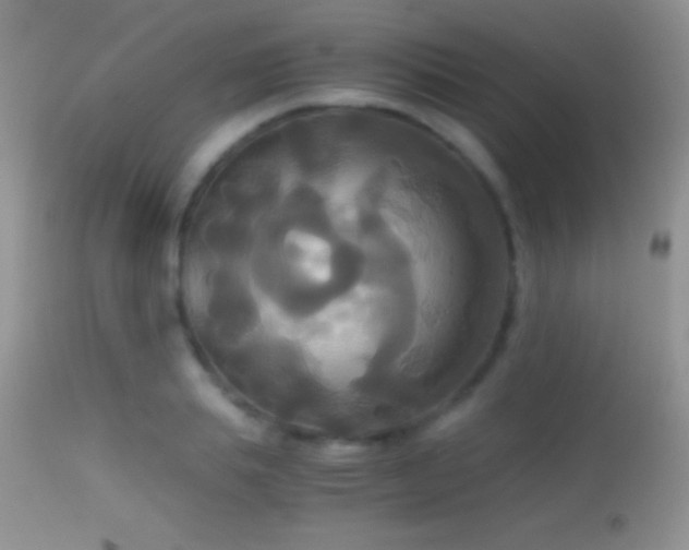 X0000114640839200910201441
