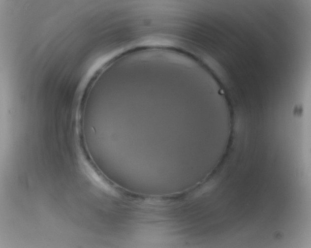 X0000114640840200910201441