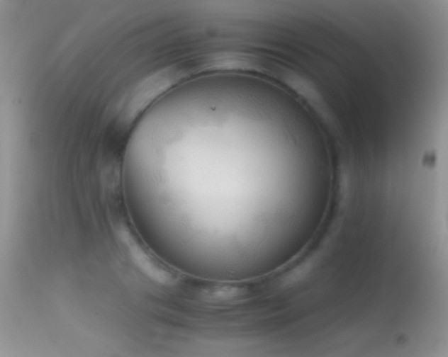 X0000114640841200910201441
