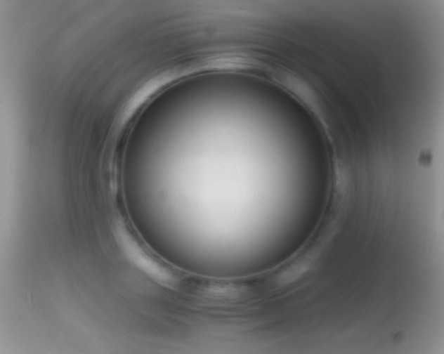 X0000114640843200910201441