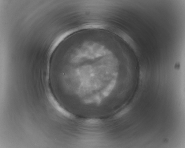 X0000114640844200910201441