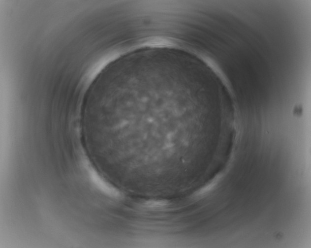 X0000114640845200910201441