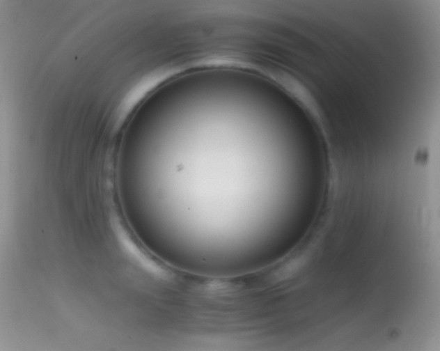 X0000114640847200910201441