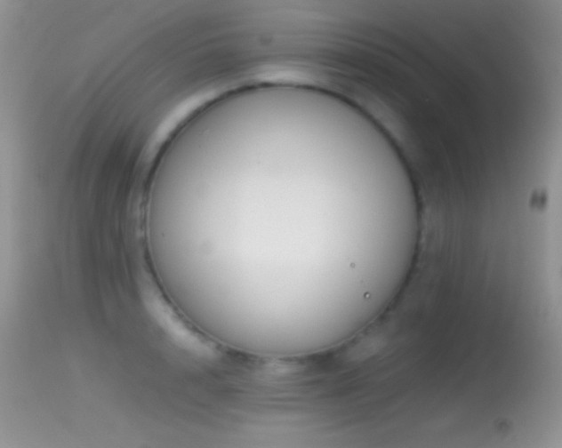 X0000114640848200910201441