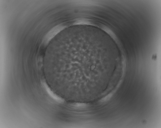 X0000114640849200910201441