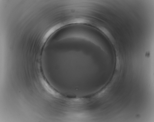 X0000114640850200910201441