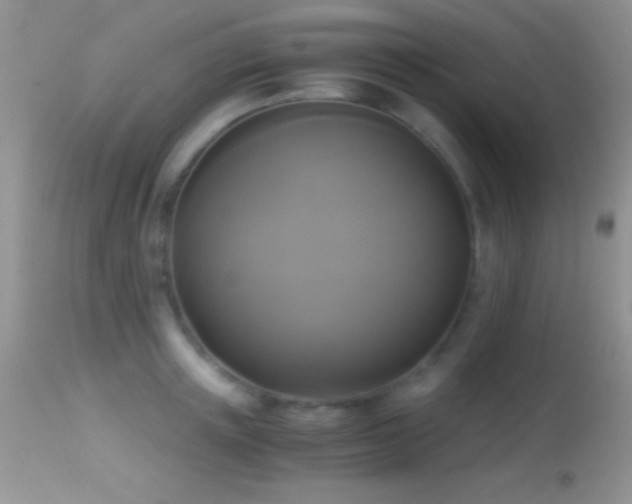 X0000114640851200910201441