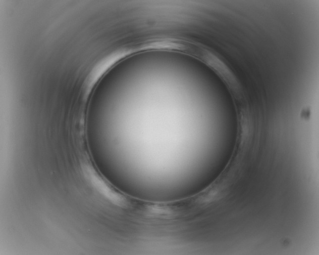 X0000114640852200910201441