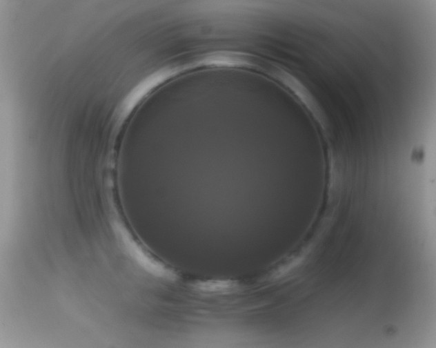 X0000114640853200910201441