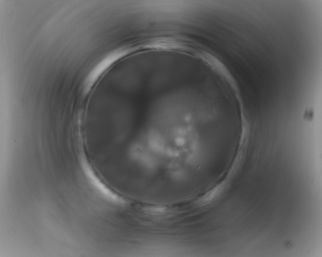 X0000114640855200910201441