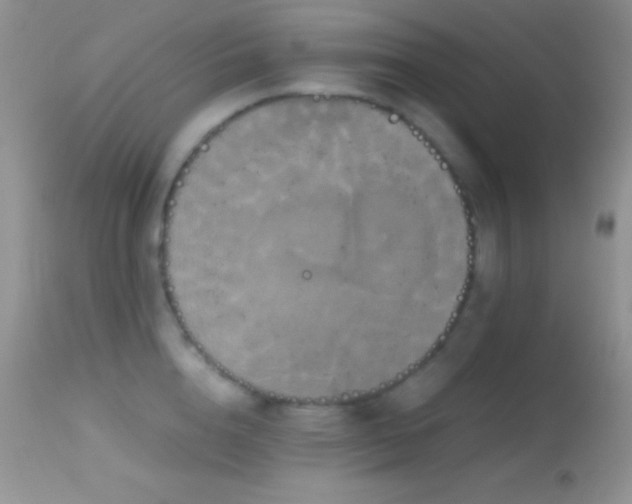 X0000114640856200910201441