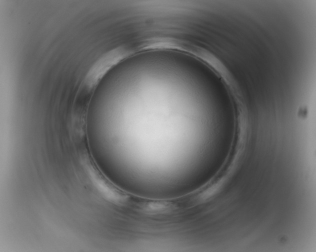 X0000114640857200910201441