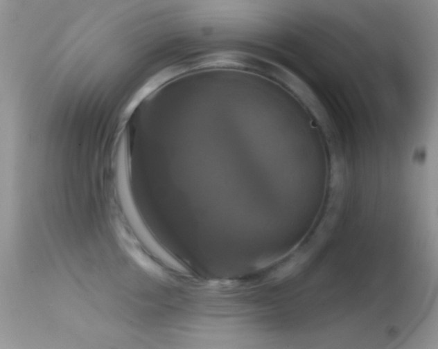 X0000114640858200910201441