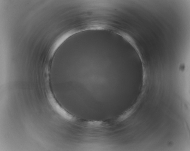 X0000114640859200910201441