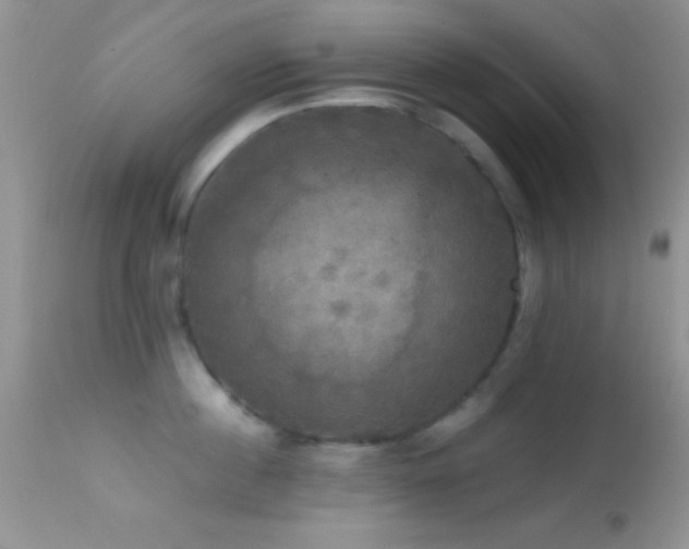 X0000114640860200910201441