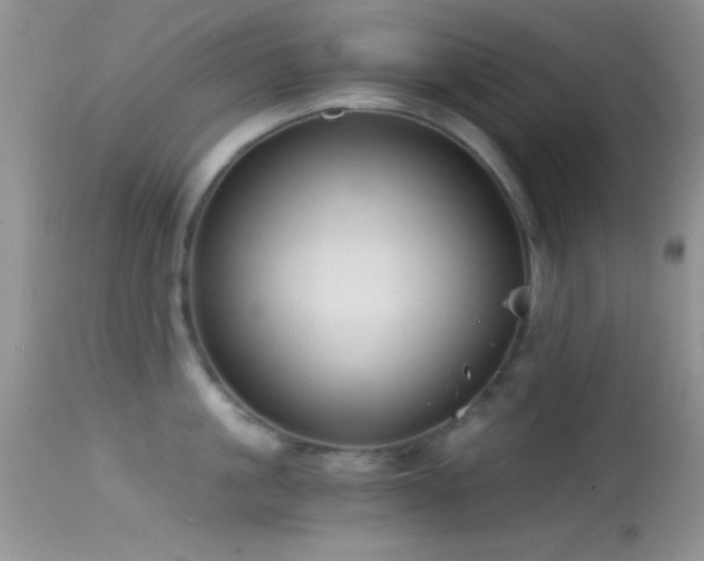 X0000114640861200910201441
