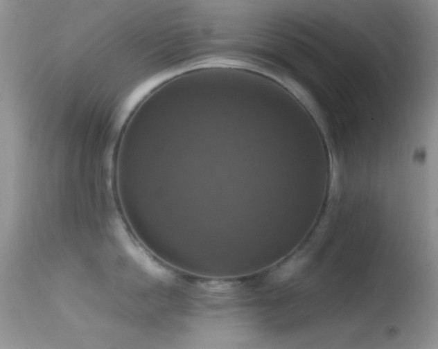 X0000114640862200910201441