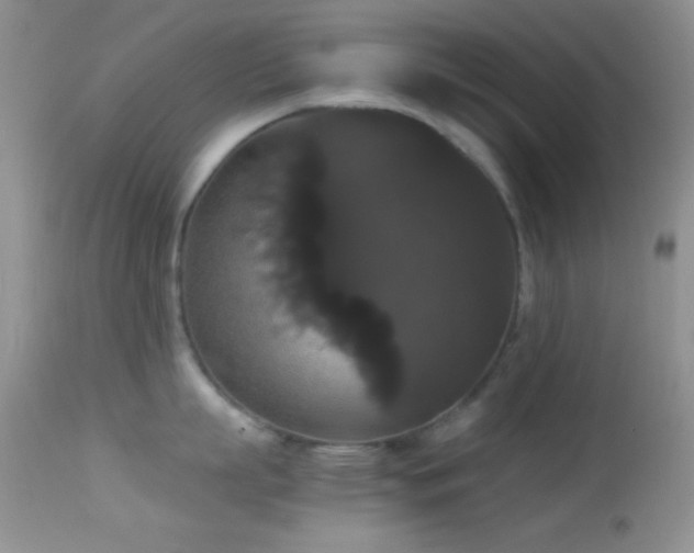 X0000114640863200910201441