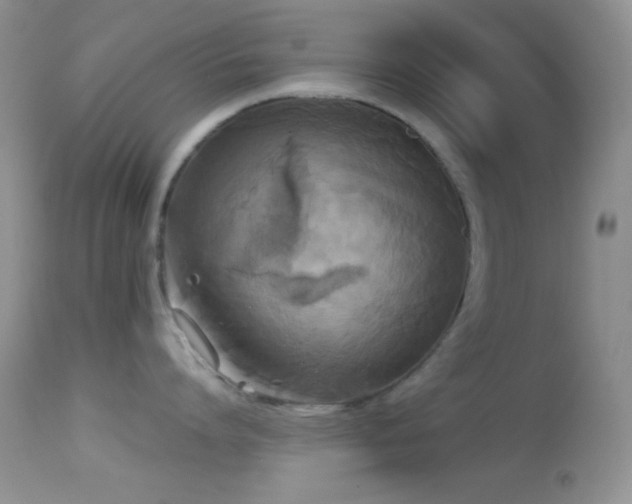 X0000114640864200910201441