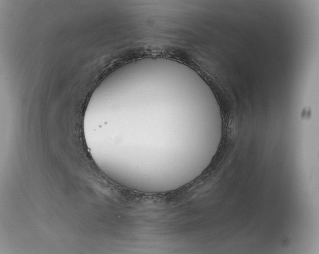 X0000114640865200910201440